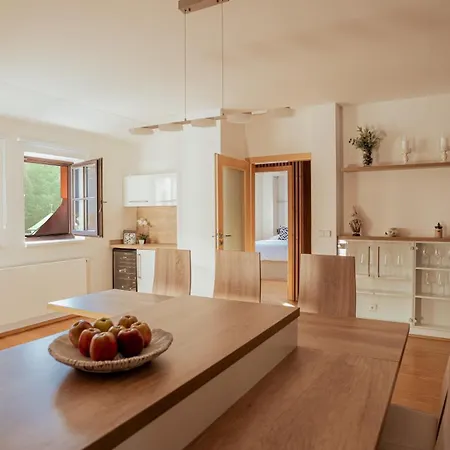 Savoy Loft Apartament Szpindlerowy Młyn